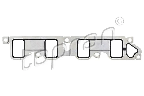 Gasket, intake manifold (302 550)