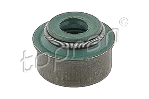 Seal Ring, valve stem (201 256)