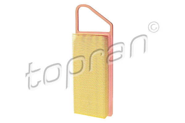 Air Filter (302 125)