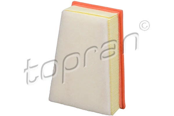 Air Filter (700 733)