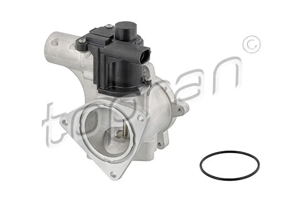 EGR Valve (639 158)