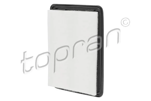 Air Filter (701 848)