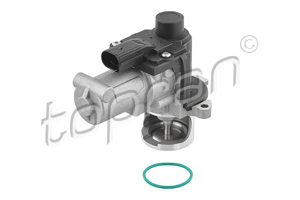 EGR Valve (117 408)