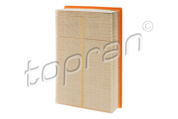 Air Filter (114 420)