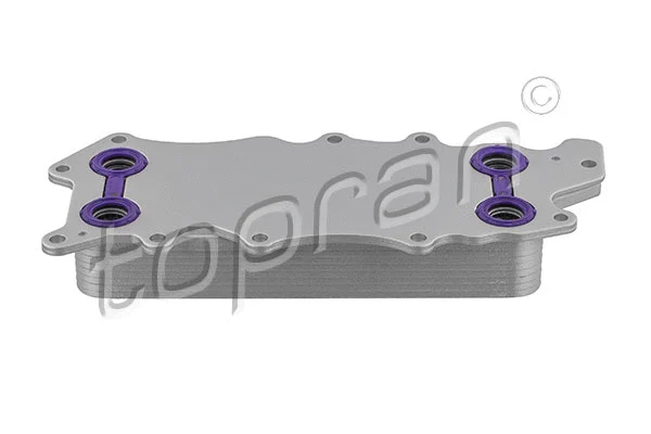 Oil Cooler, engine oil (625 261)