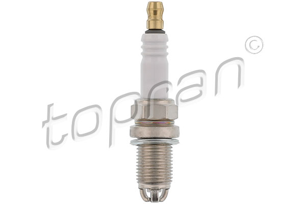 Spark Plug (110 326)