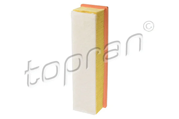 Air Filter (409 425)