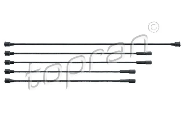 Ignition Cable Kit (202 504)