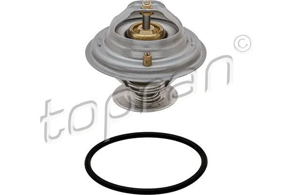Thermostat, coolant (101 583)