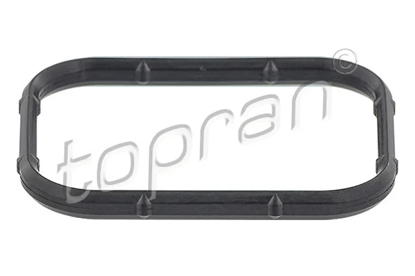 Gasket, intake manifold (723 450)