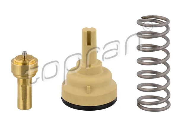 Thermostat, coolant (113 291)