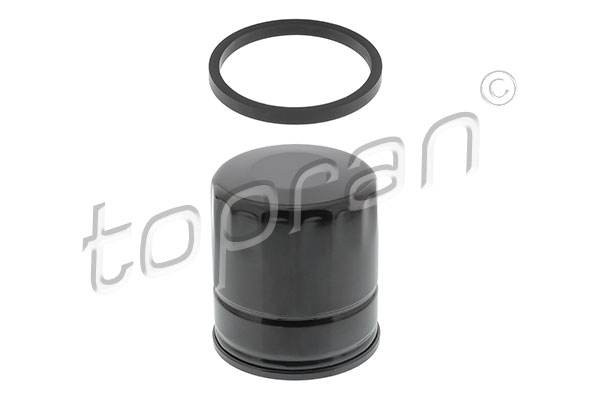 Oil Filter (206 547)