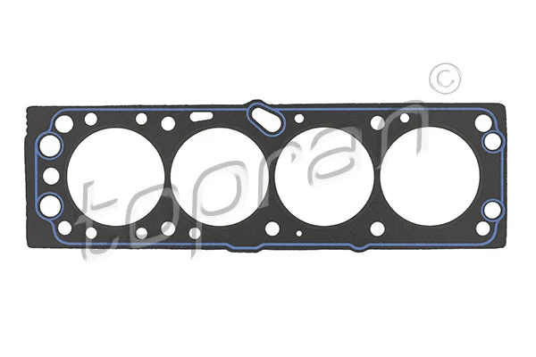 Gasket, cylinder head (205 529)