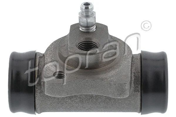 Wheel Brake Cylinder (200 899)