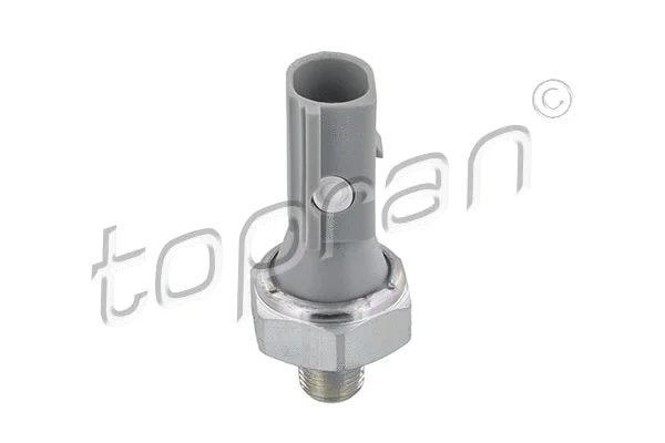 Oil Pressure Switch (407 974)