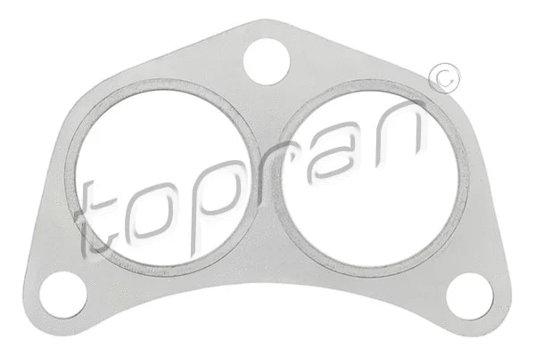 Gasket, exhaust pipe (300 134)