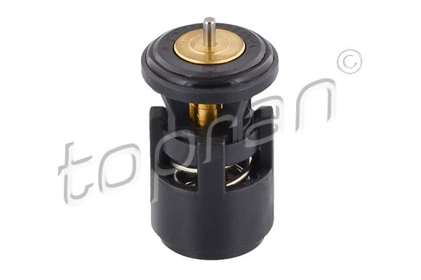 Thermostat, coolant (112 947)