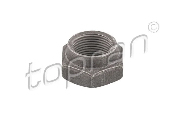 Nut, stub axle (723 483)