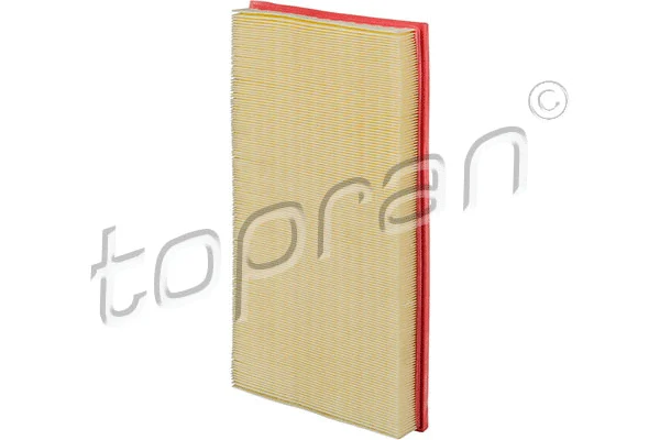 Air Filter (408 183)