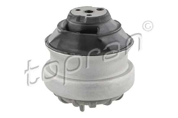Mounting, engine (400 023)