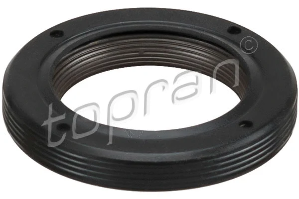 Shaft Seal, camshaft (700 901)