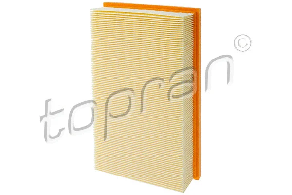 Air Filter (302 084)