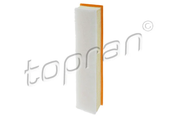 Air Filter (700 730)
