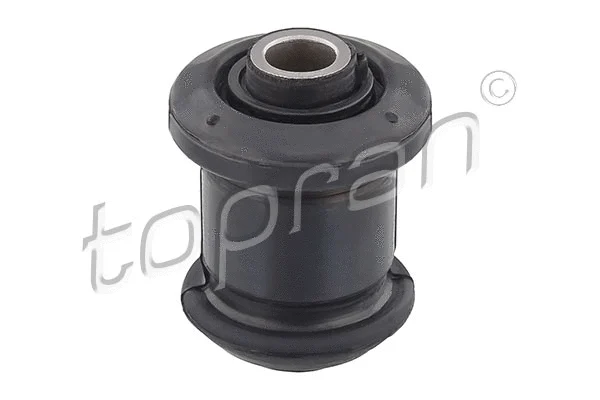 Mounting, control/trailing arm (200 494)