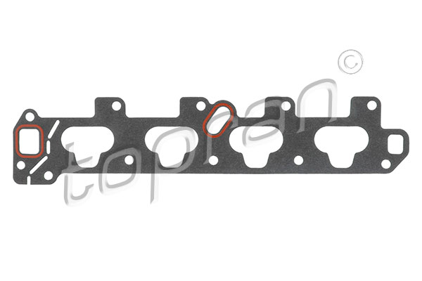 Gasket, intake manifold (205 862)