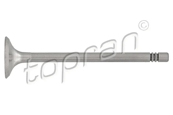 Exhaust Valve (108 021)