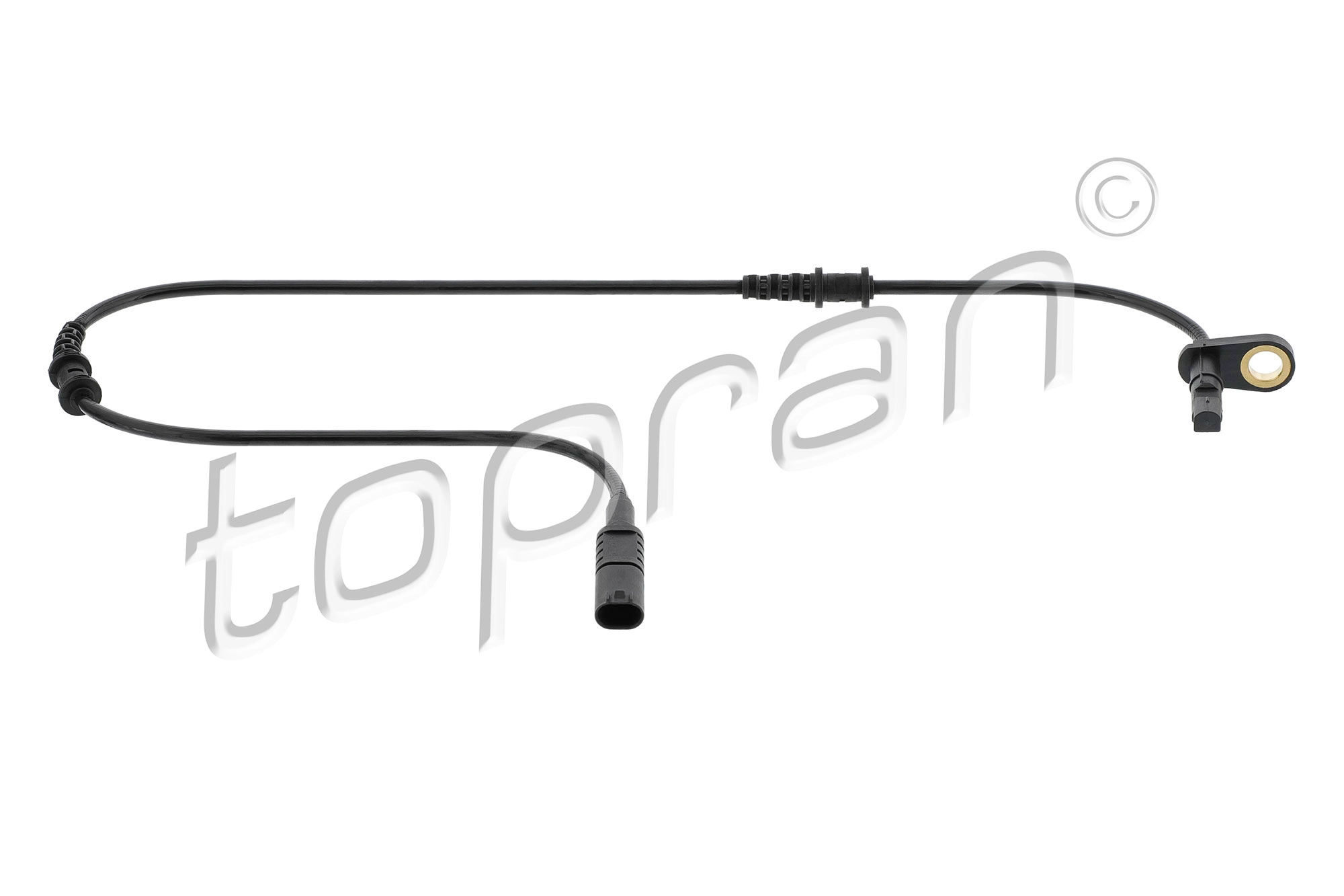 Sensor, wheel speed (401 545)