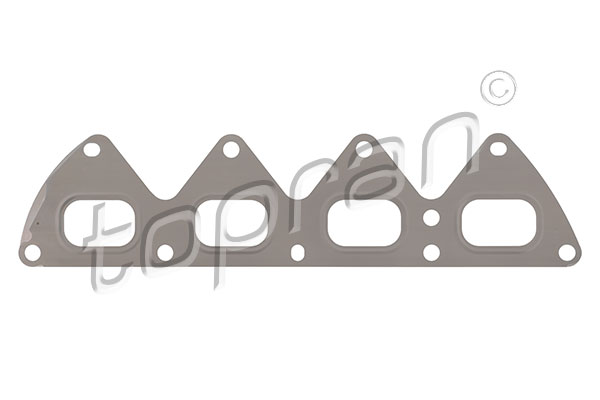 Gasket, exhaust manifold (702 080)