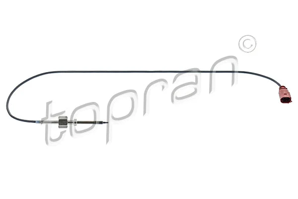 Sensor, exhaust gas temperature (117 551)