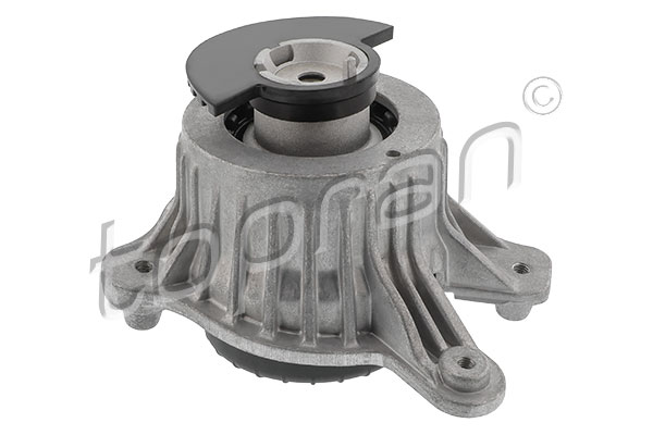 Mounting, engine (410 391)