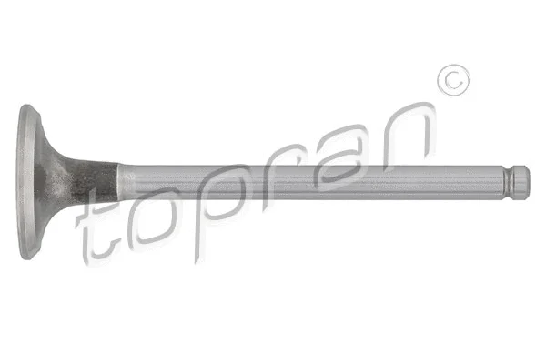 Exhaust Valve (201 272)