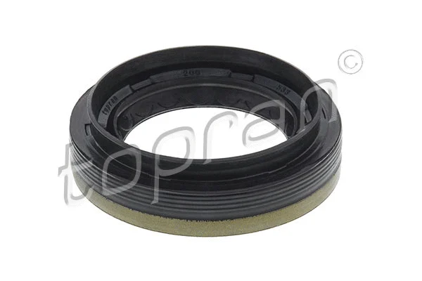 Shaft Seal, differential (200 533)
