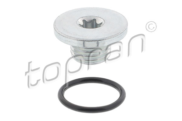 Screw Plug, oil sump (208 800)