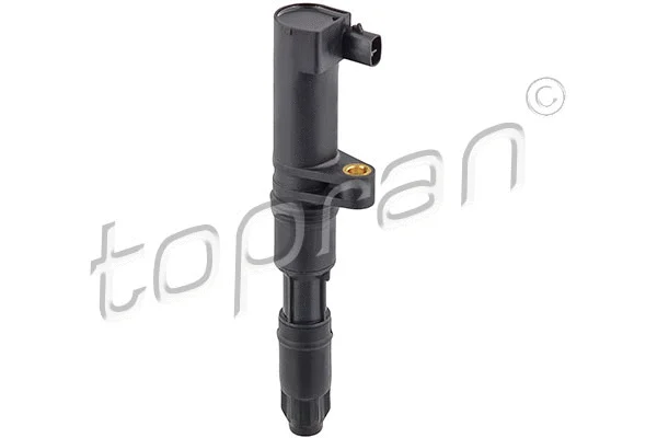 Ignition Coil (207 022)