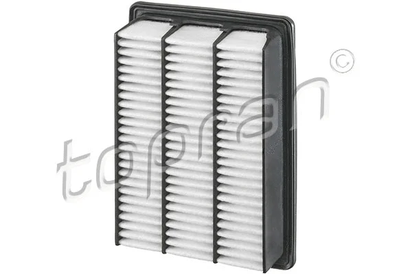 Air Filter (820 102)