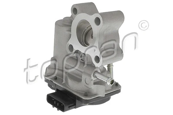 EGR Valve (639 179)