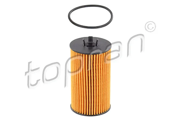 Oil Filter (208 455)