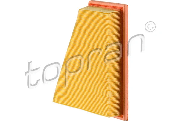 Air Filter (501 915)