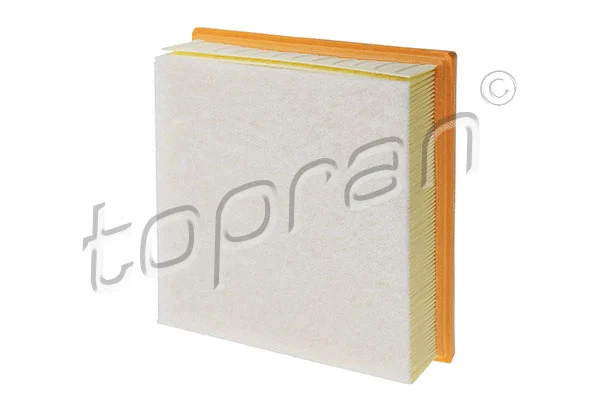 Air Filter (207 625)