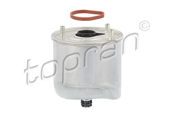 Fuel Filter (304 850)