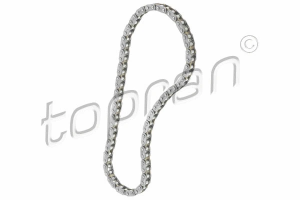 Timing Chain (108 707)