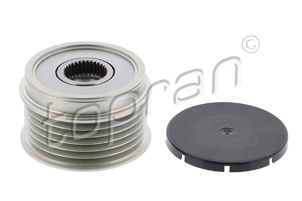 Alternator Freewheel Clutch (208 141)