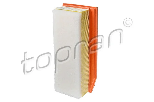 Air Filter (620 881)
