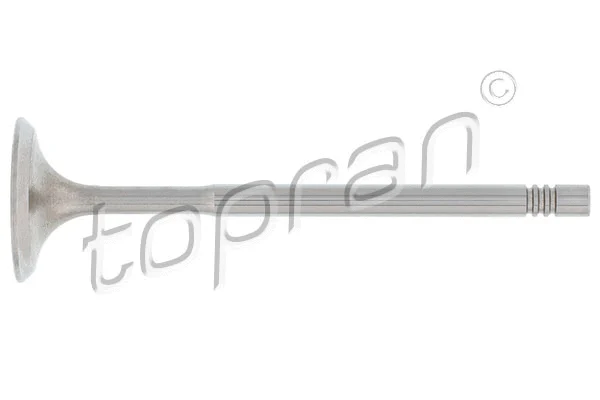 Intake Valve (108 017)