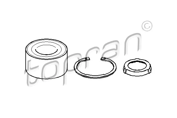 Wheel Bearing Kit (500 636)