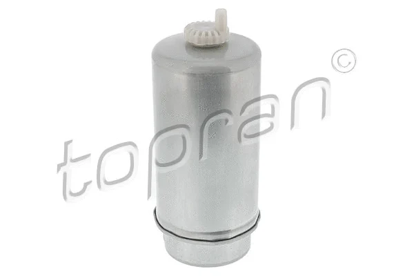 Fuel Filter (304 974)